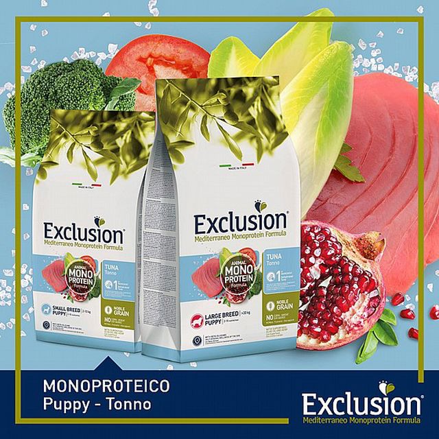 אקסלוז'ן גורים גזע בינוני טונה