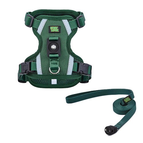 רתמה ורצועת איזילוק