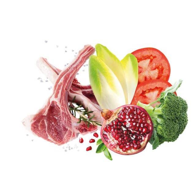 אקסלוז'ן נובל כבש