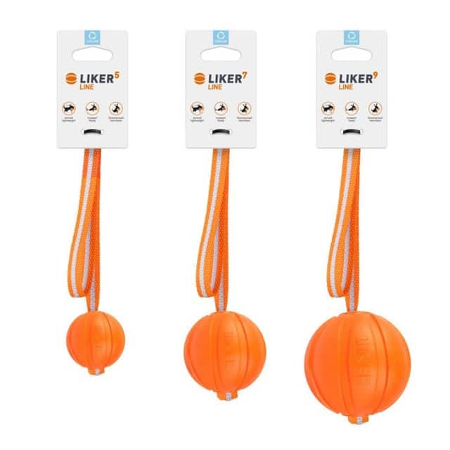 כדור עם חבל