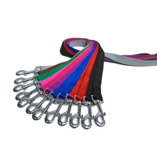 רצועת הולכה - כלבים קטנים וגורים