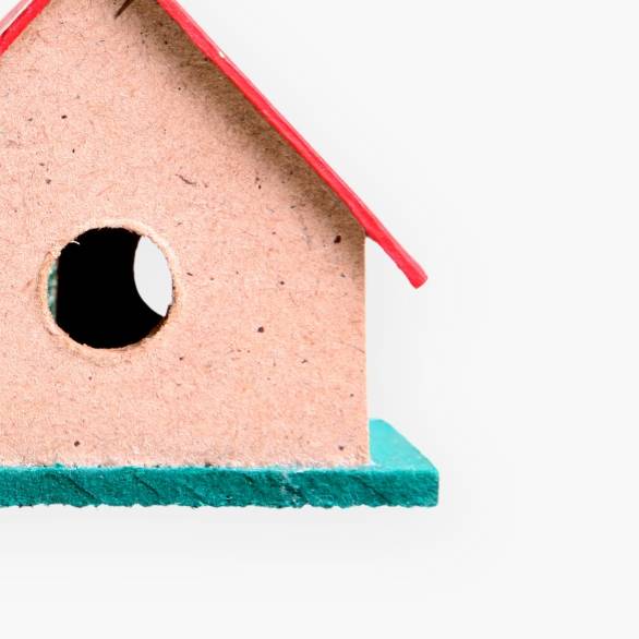 מלונה לכלבים