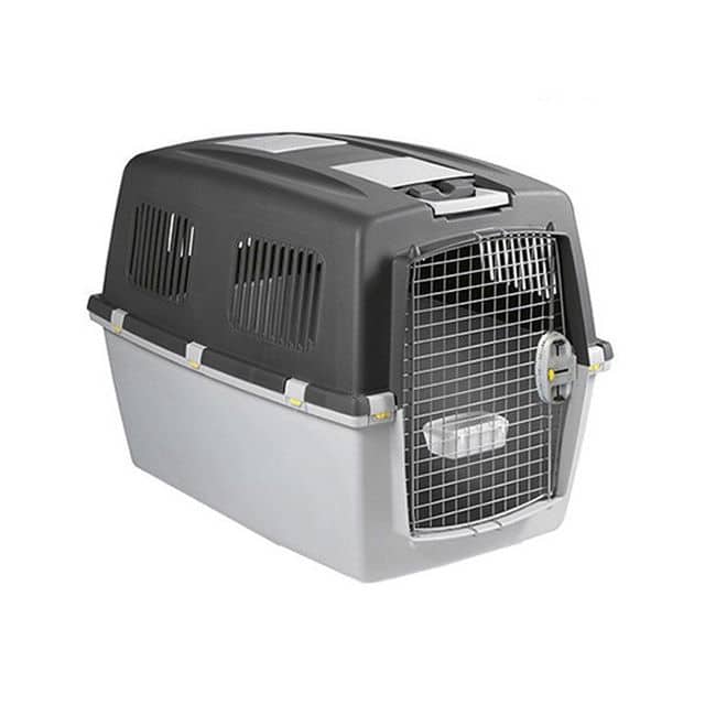 כלוב טיסה גוליבר