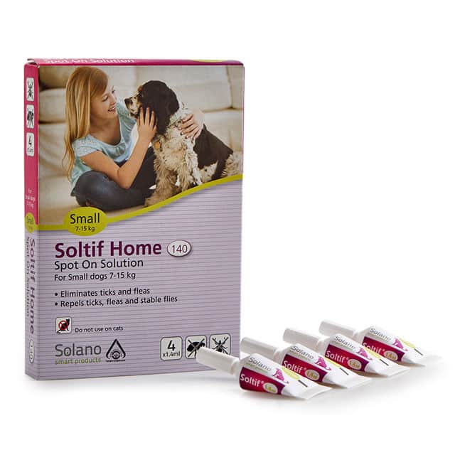 אמפולות סולאנו לכלב קטן