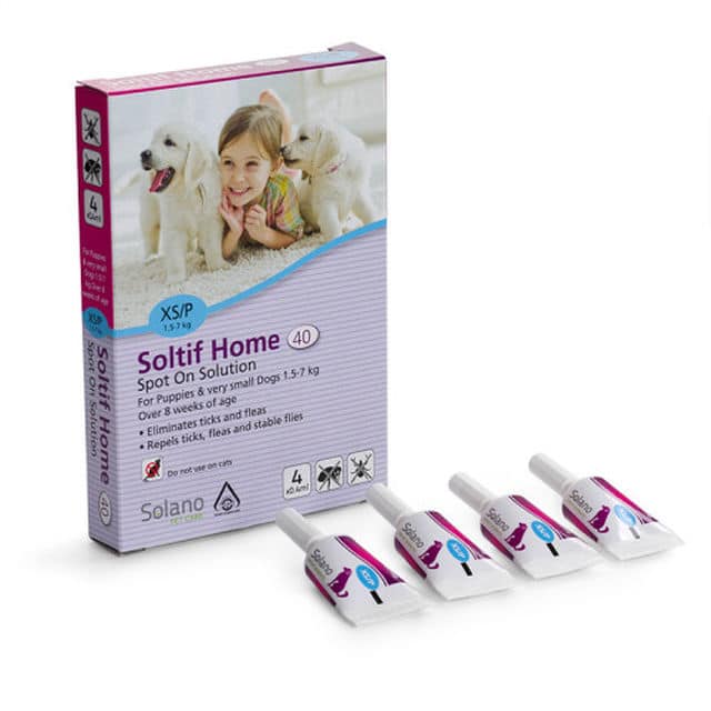 אמפולות סולאנו לגורי כלבים