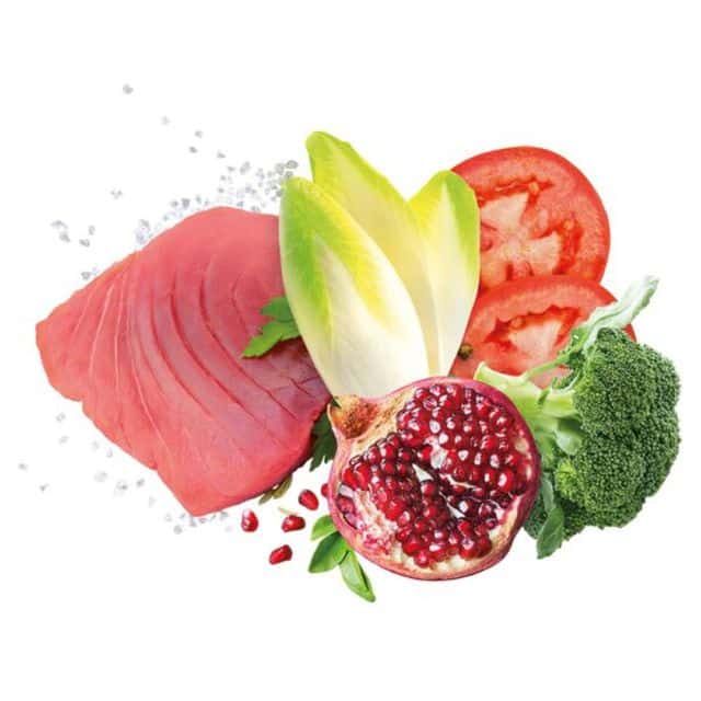 אקסלוזן טונה גורים גזע קטן 2 קג