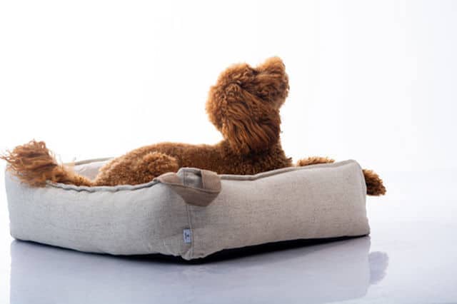 מיטה לכלבים Maika דגם AMY