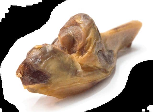 העצם מגיעה עם המפרק העסיסי מחובר (Brochette), מה שהופך אותה לחטיף מיוחד ומפנק במיוחד. העצם מעושנת בקפידה, מה שמעניק לה טעם וריח עשירים במיוחד וטעימות גבוהה. העצם מאפשרת להעסיק את הכלב לפרק זמן ממושך תוך התענגות על בשר אמיתי ואיכותי, ומהווה פתרון מצוין לפינוק