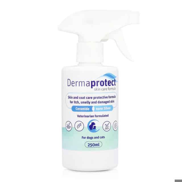 DermaProtect Spray לכלב ולחתול – תרסיס טיפוח מתקדם להפחתת נשירה, הרגעת העור ונטרול ריחות מבית SOLANO העניקו לחיית המחמד שלכם טיפול יומיומי מפנק ומקצועי עם DermaProtect Spray מבית סולאנו (SOLANO). התרסיס פותח כפתרון רב-תכליתי ונוח לשימוש, המיועד לטיפול בנשירת שיער, גירודים טורדניים, יובש בעור וריחות לא נעימים. הפורמולה הייחודית מתאימה גם לכלבים וגם לחתולים, ומספקת מענה מהיר ואפקטיבי לשמירה על פרווה מבריקה ועור בריא.