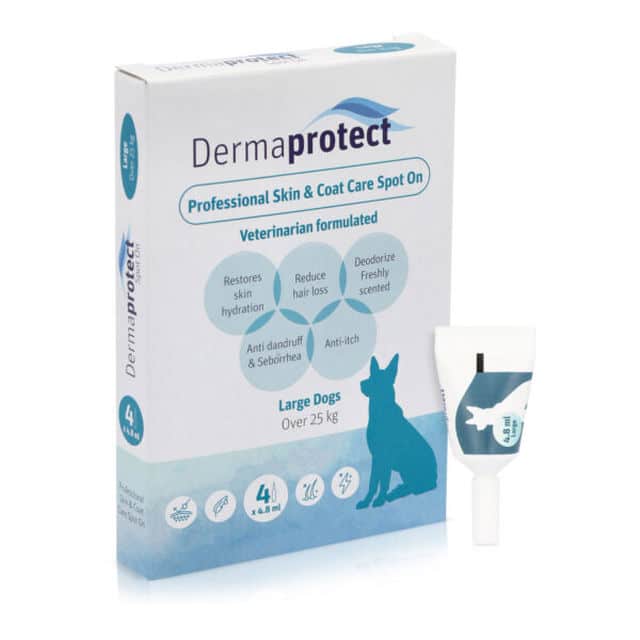סובלים מנשירה וריח לא נעים? אמפולות DermaProtect מבית סולאנו הן הפתרון! פורמולה לשיקום עור יבש, הפחתת גירויים וחיזוק הפרווה. 4 יחידות באריזה. בחרו מידה לפי משקל הכלב.